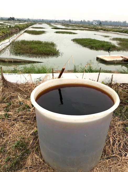 江蘇微山湖