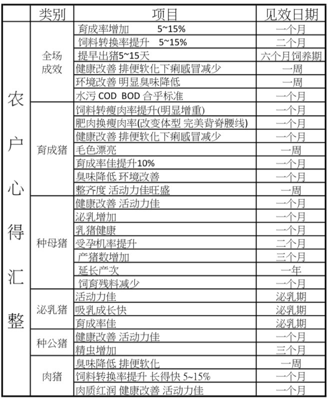 貴州養豬